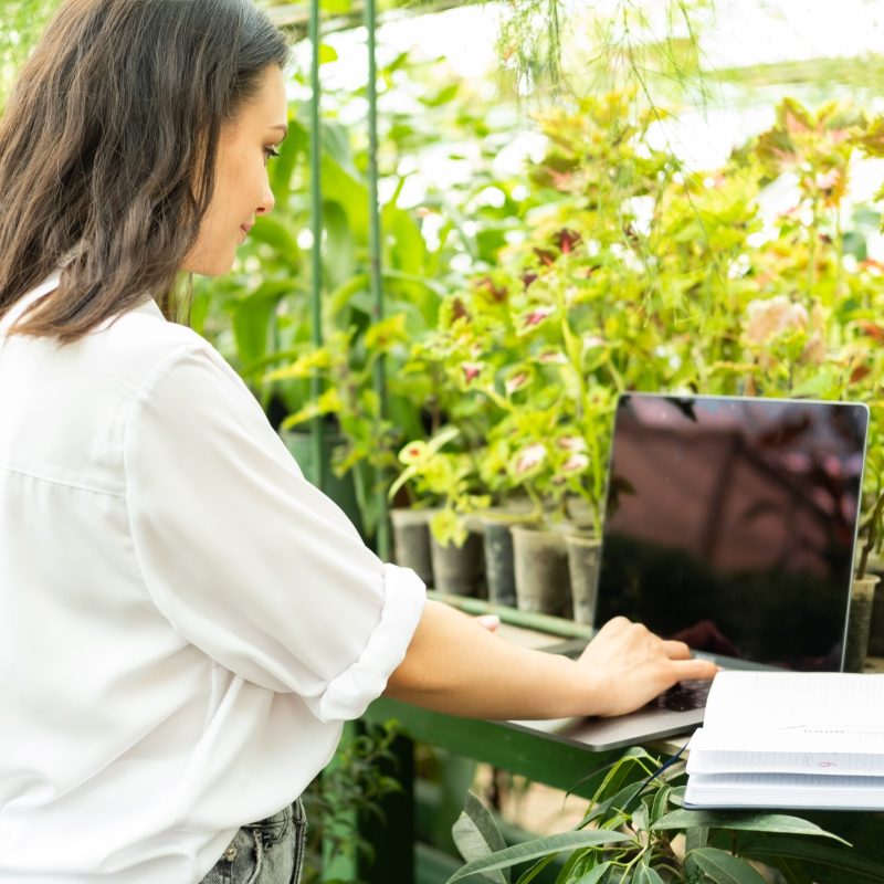 online terapije1 online terapije1